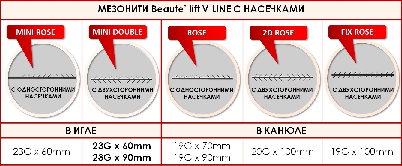 1niti s naseghkami