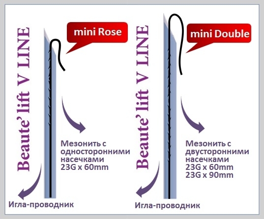 1mezoniti mini rose + mini double